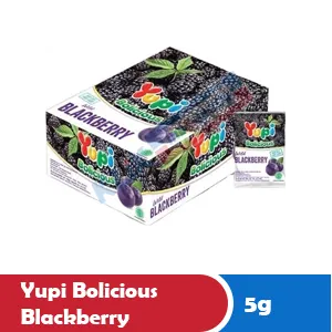 YUPI BOLICIOUS BLACKBERRY BOX 24x5g